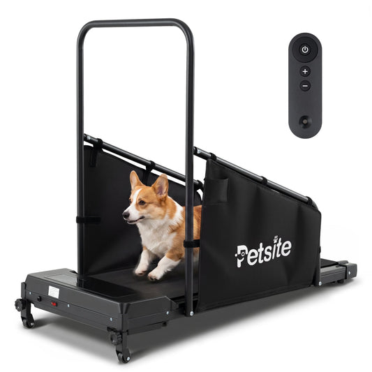 Dog Treadmill With Remote Control, LCD Display, Black Dog Supplies Black at Gallery Canada