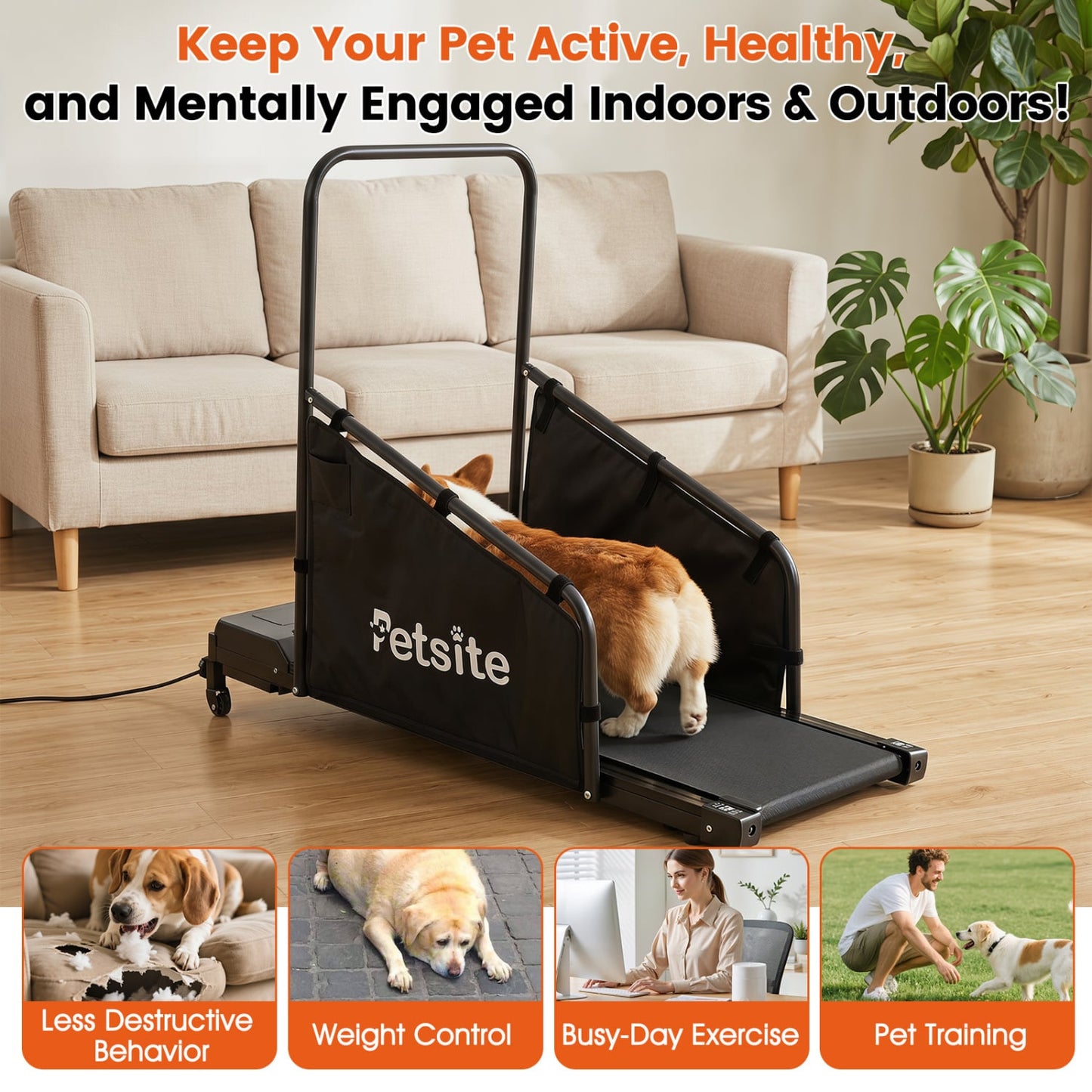 Dog Treadmill With Remote Control, LCD Display, Black