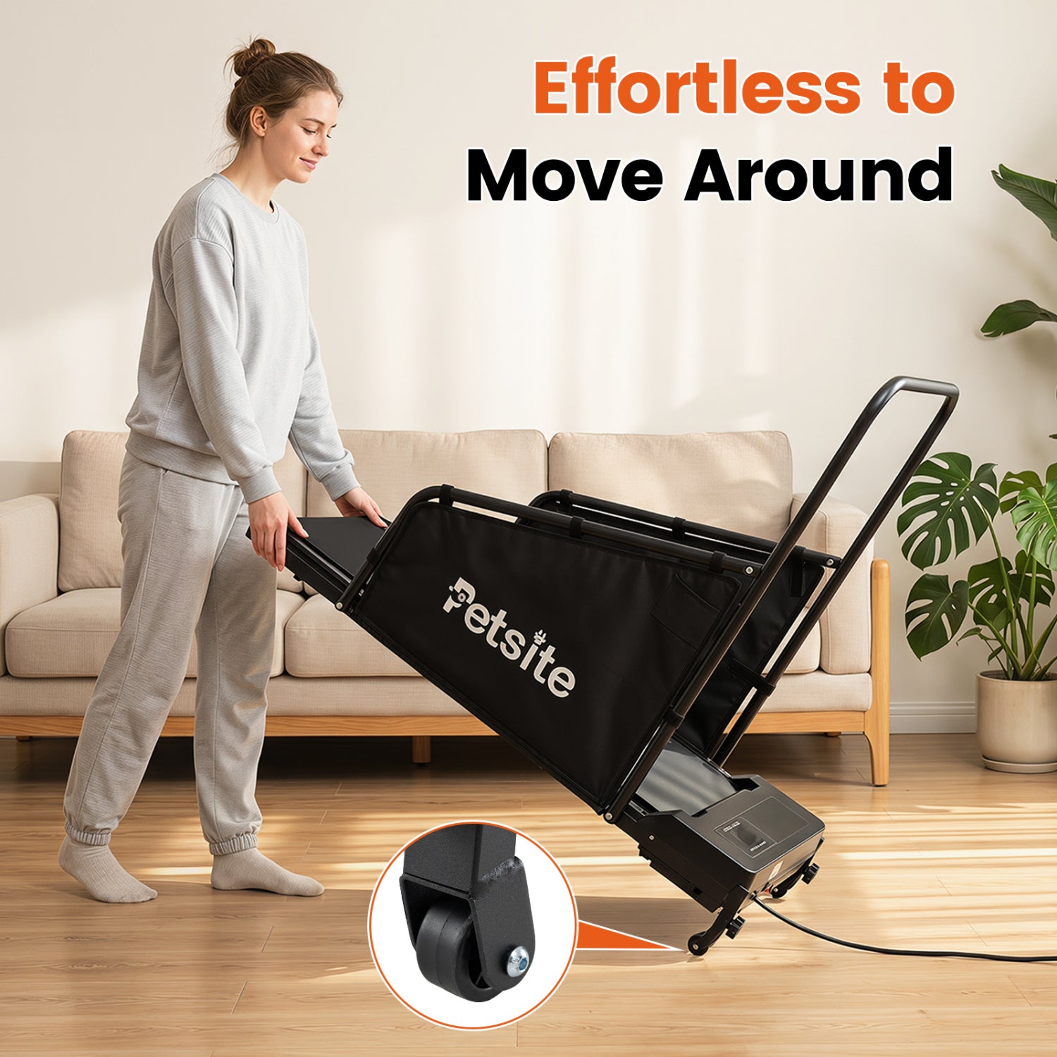Dog Treadmill With Remote Control, LCD Display, Black Dog Supplies at Gallery Canada