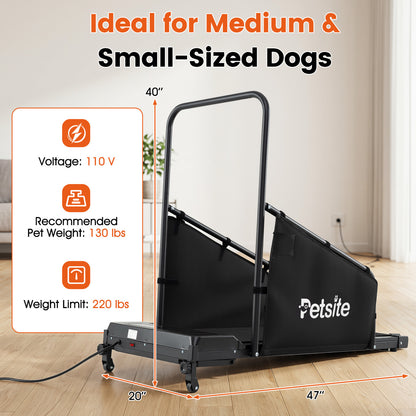 Dog Treadmill With Remote Control, LCD Display, Black Dog Supplies at Gallery Canada