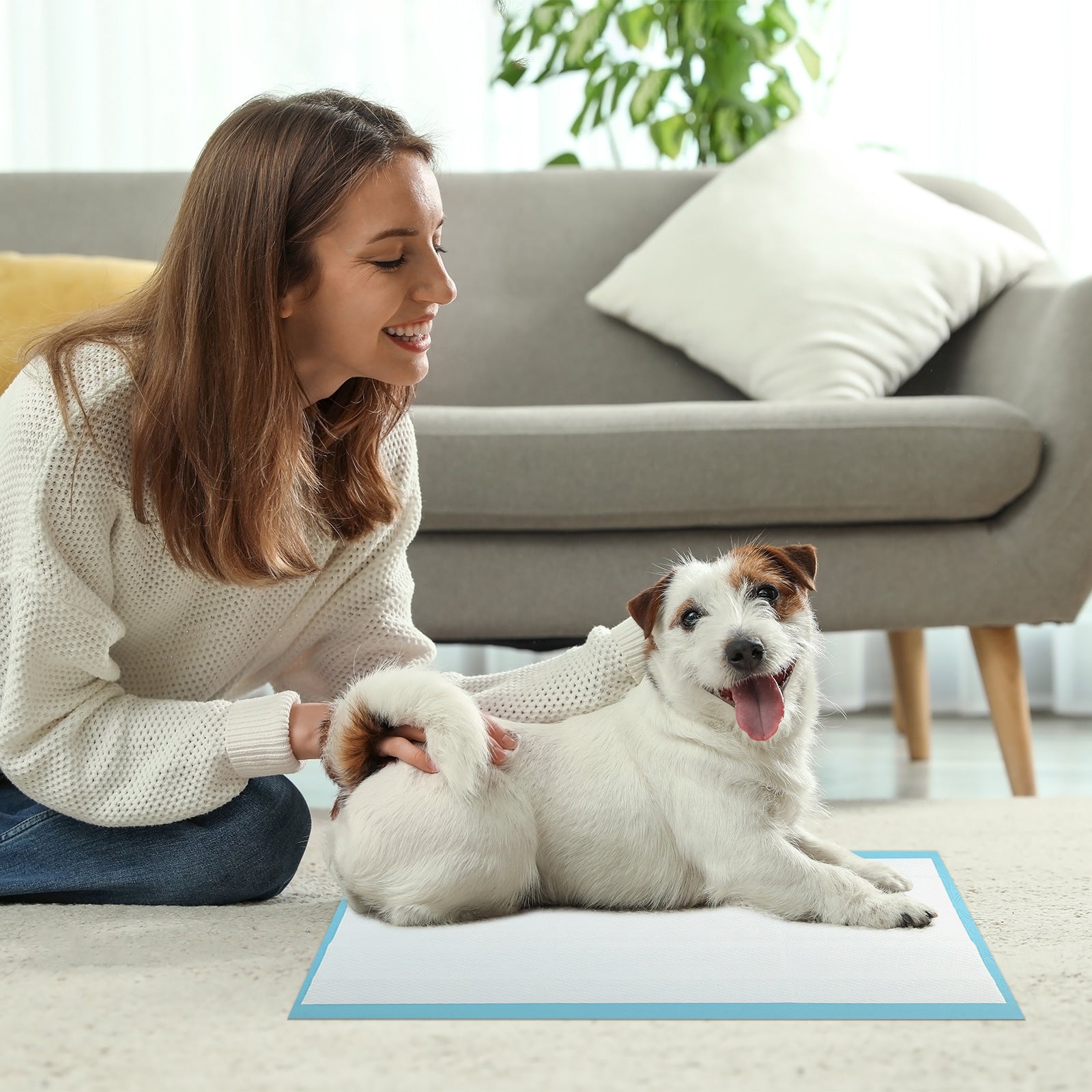 Dog and Puppy Pee Pads 24" x 17" (300 Counts) for Potty Training, Blue Dog Supplies at Gallery Canada