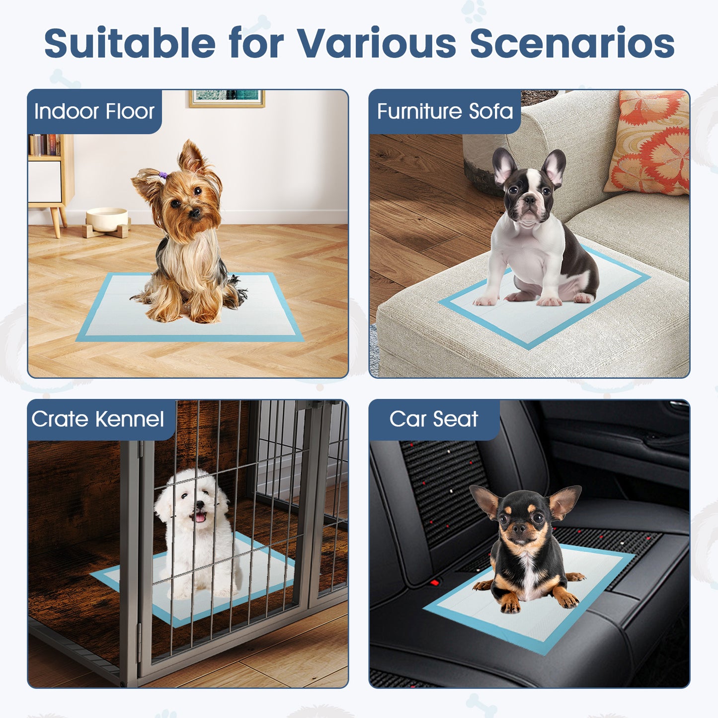 Dog and Puppy Pee Pads 18" x 13" (300 Counts) for Potty Training, Blue Dog Supplies at Gallery Canada