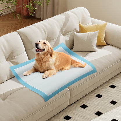 Dog and Puppy Pee Pads 36" x 36" (100 Counts) for Potty Training, Blue Dog Supplies at Gallery Canada
