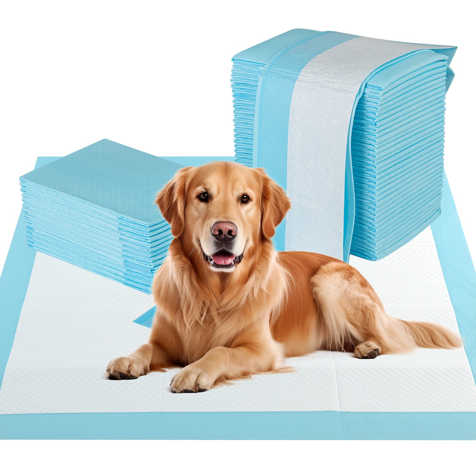 Dog and Puppy Pee Pads 36" x 36" (100 Counts) for Potty Training, Blue Dog Supplies Blue at Gallery Canada