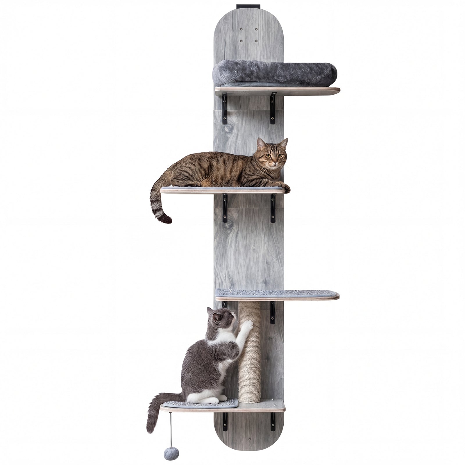 Door Hanging Cat Climber 4-level Height Adjustable with Plush Bed, Gray Cat Trees Condos & Scratchers at Gallery Canada