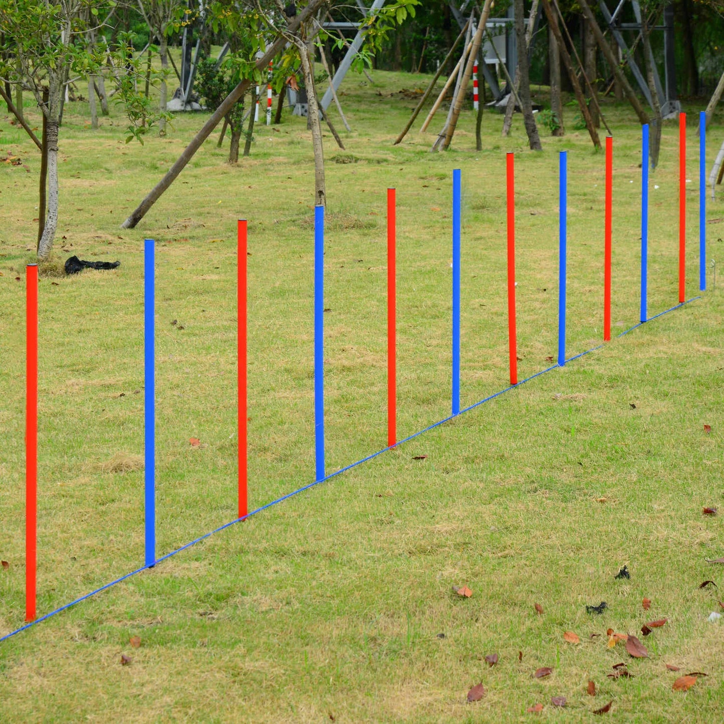 Dog Agility Equipment Set, Portable Training for Outdoor Play Dog Agility Training Equipment at Gallery Canada