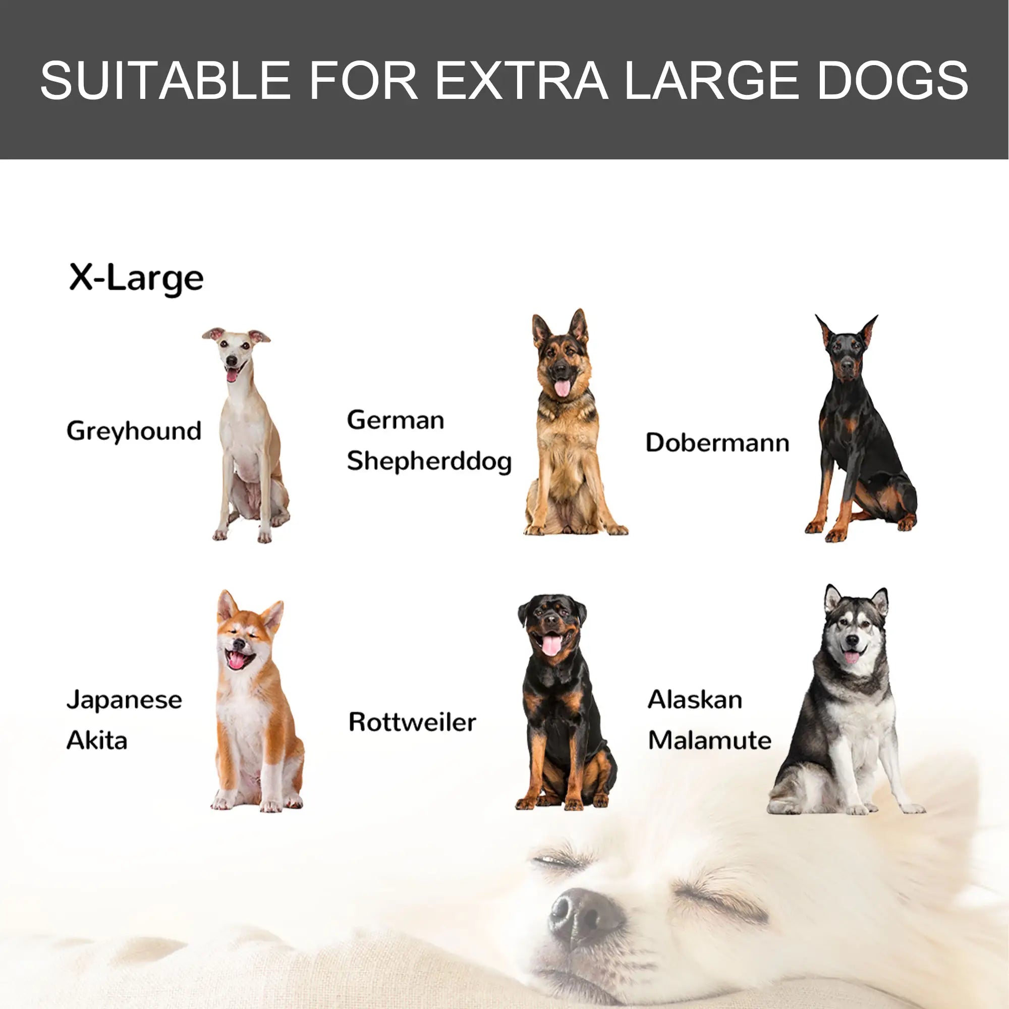 Heavy Duty Folding Dog Crate, Extra Large, 49