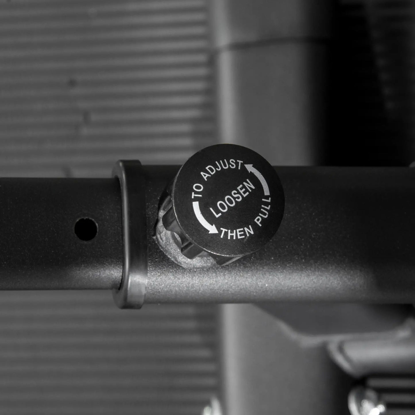 Sissy Squat Machine, Adjustable Leg Workout Equipment, Non-Slip Foot Plate Squat Machine at Gallery Canada