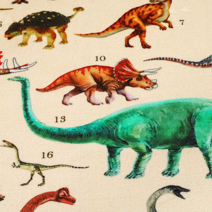 Large Play Mat 200 x 150 cm, Dinosaur Pattern, Toddler Crawling Mat Kids Gym & Playmats at Gallery Canada