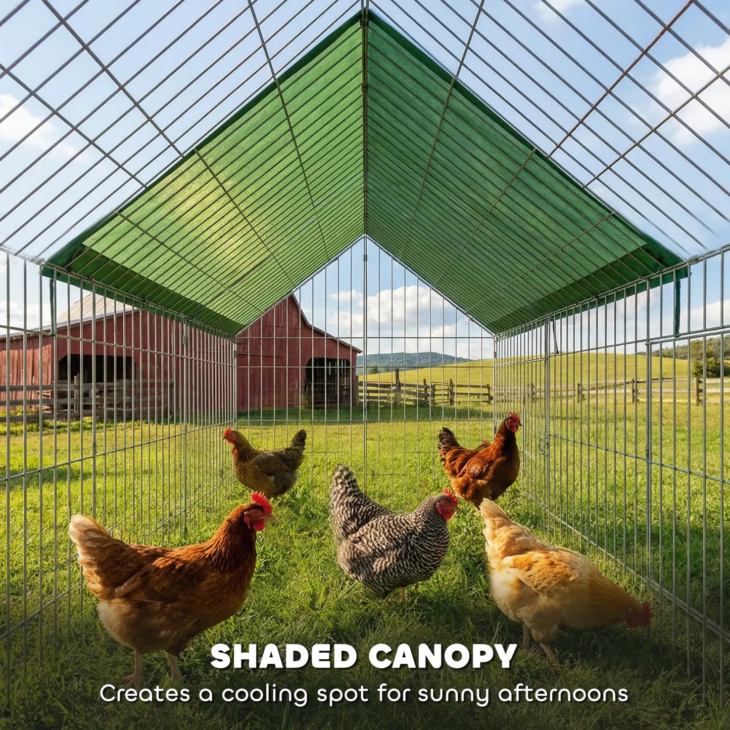 Metal Chicken Coop, UV-Resistant Cover, 106" x 29.5" x 29.5", Green Chicken Coops at Gallery Canada