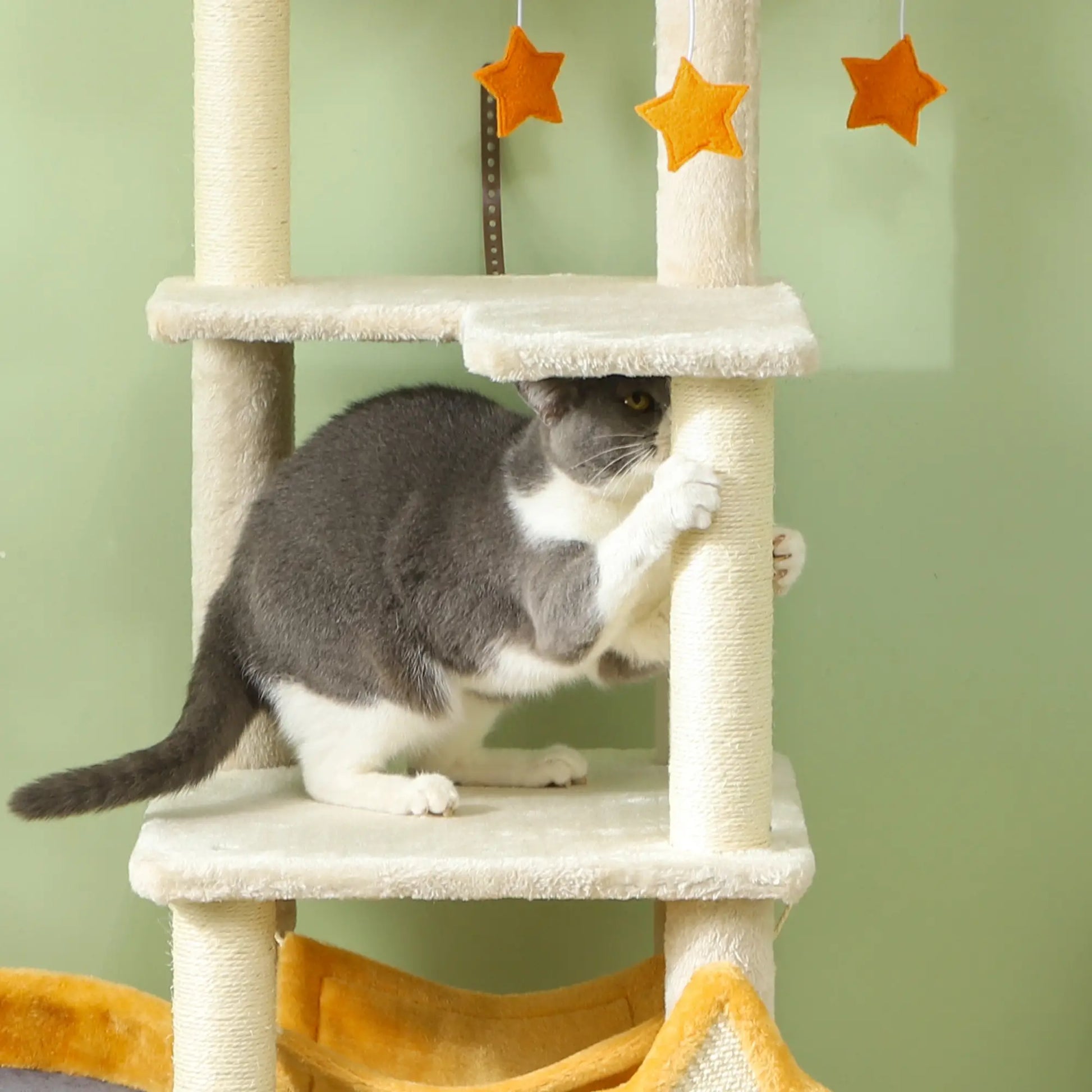 Star Moon Cat Tree, Scratching Posts, Condo, Bed, Toys, Beige Cat Towers at Gallery Canada