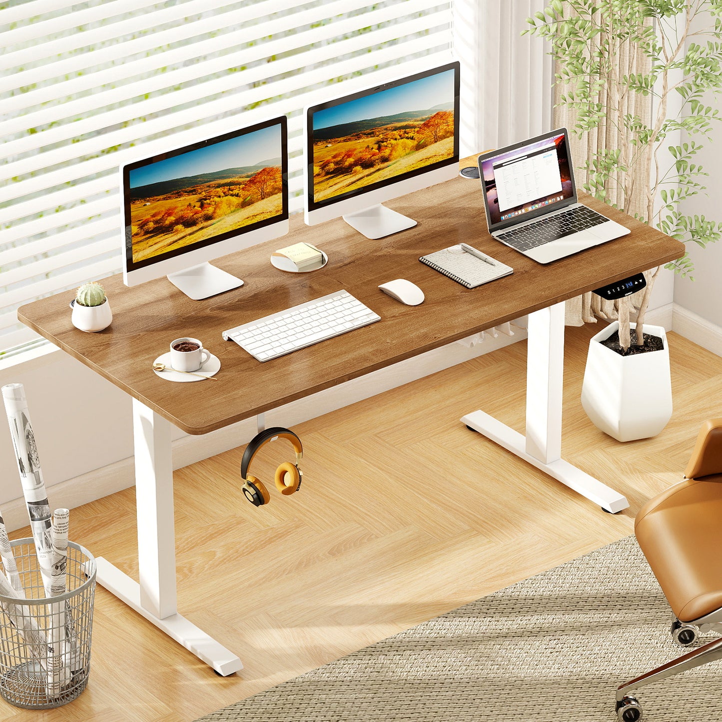 Electric Standing Desk, Height Adjustable, 3 Memory Heights, Walnut Standing Desks at Gallery Canada