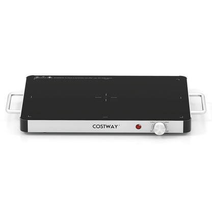 Electric Warming Tray Food Warmer, Adjustable Temperature Control Kitchen Appliances at Gallery Canada