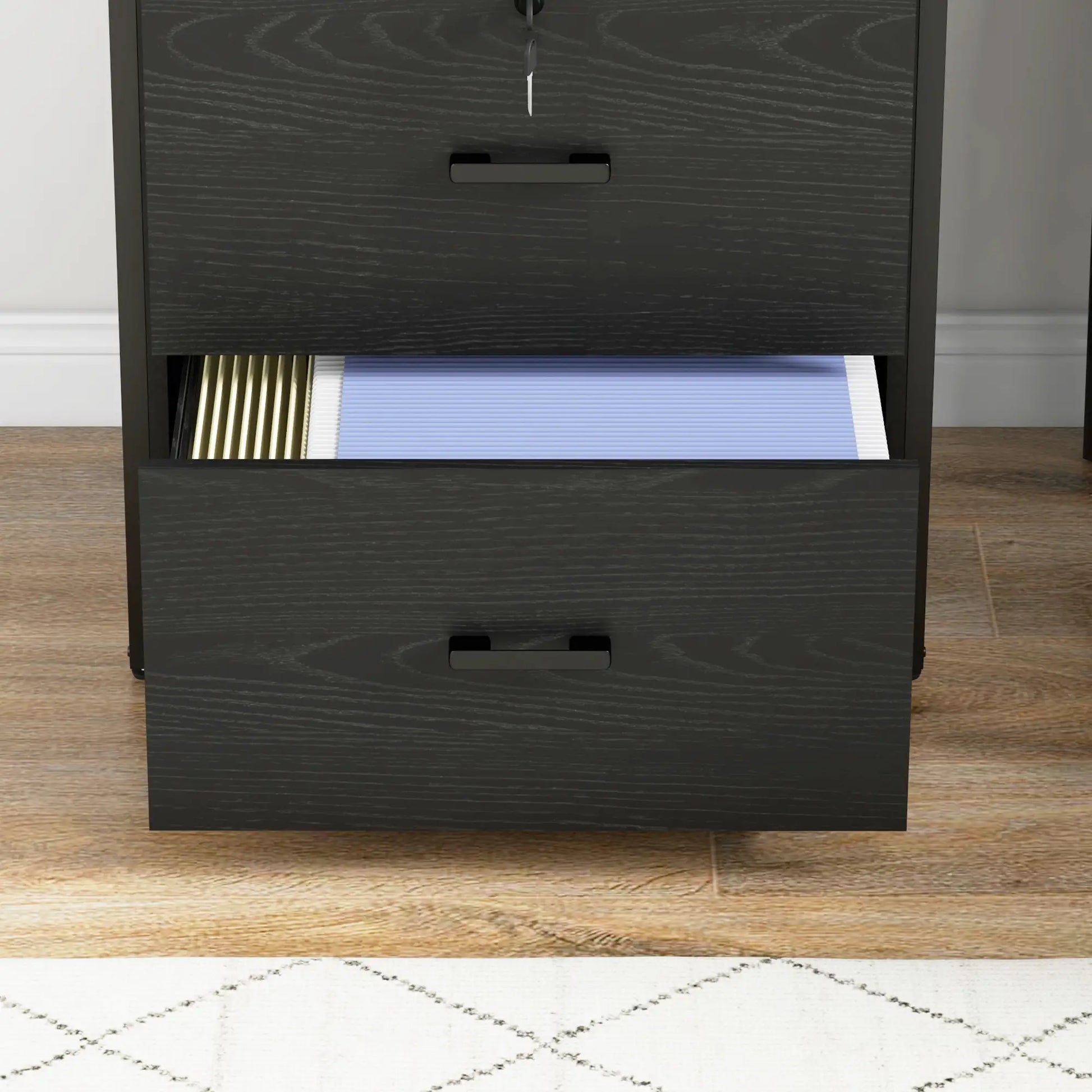 Lockable 2 Drawer Filing Cabinet, Adjustable Hanging Bar, Letter, A4, Legal Size, Black Office Cabinets & Cupboards at Gallery Canada