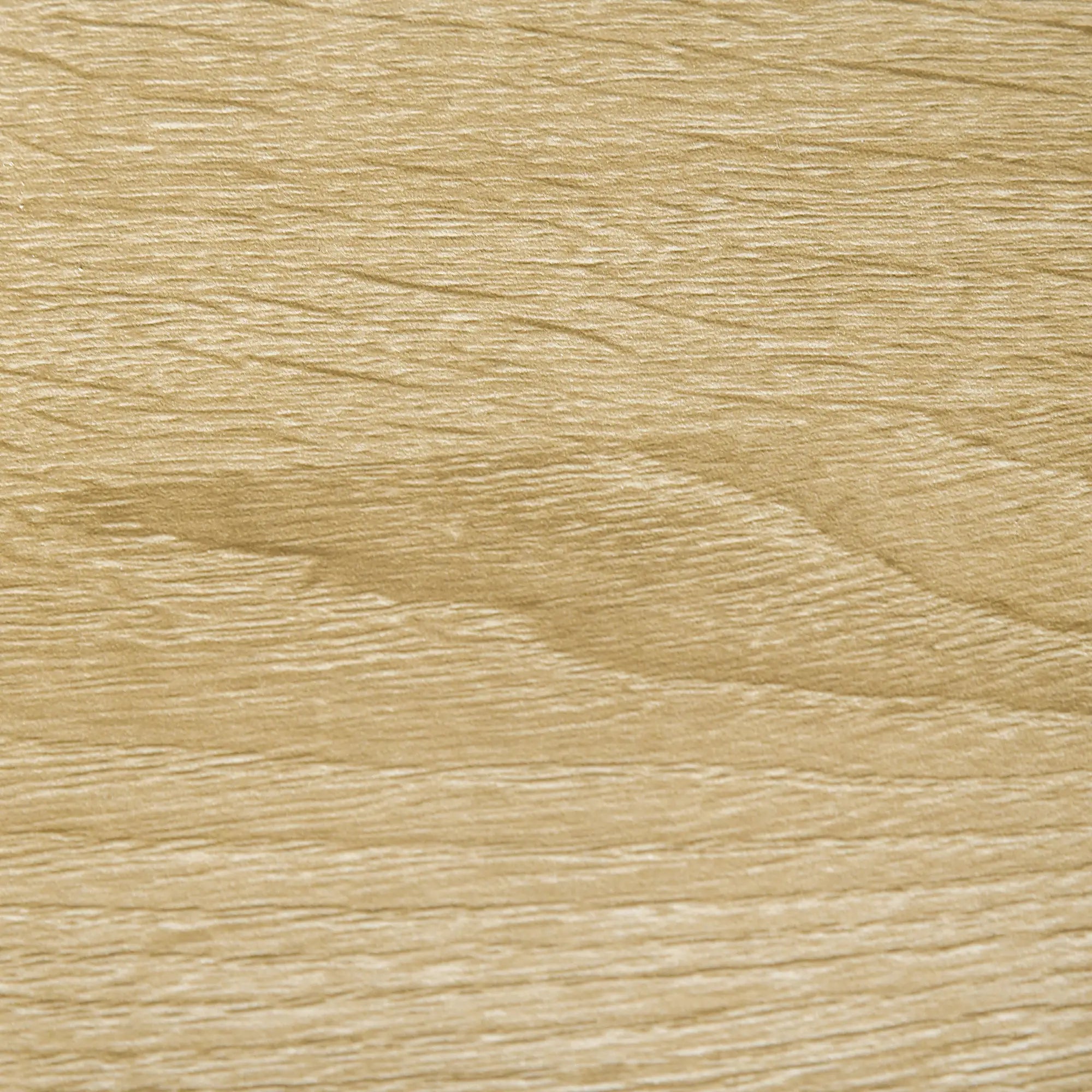 Storage Cabinet with Doors, 2 Adjustable Shelves, Living Room, Bathroom Storage Cabinets at Gallery Canada