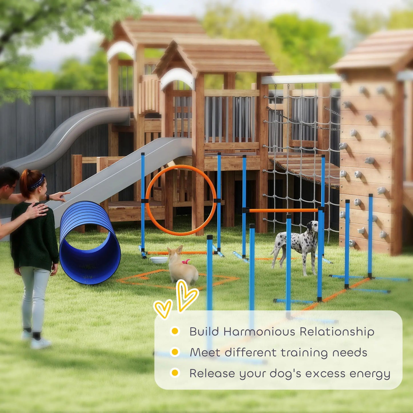 Dog Agility Training Equipment, 8PCS Obstacle Course Starter Kit Dog Agility Training Equipment at Gallery Canada