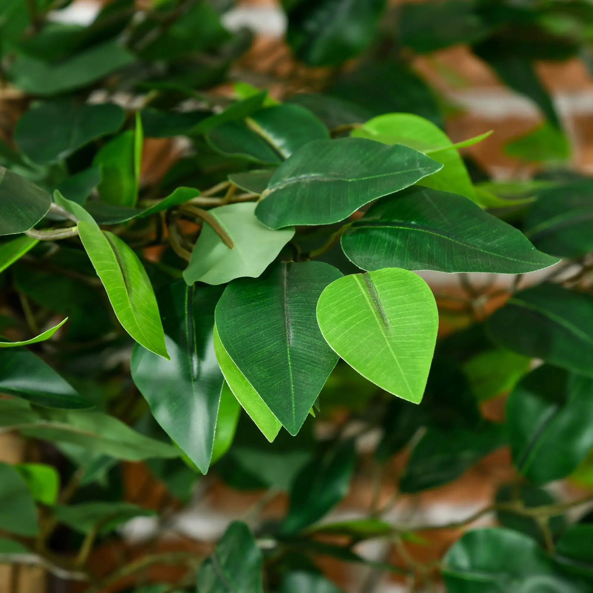 Set of 2 6ft Artificial Ficus Trees, Indoor Fake Plants with Pot Artificial Trees at Gallery Canada