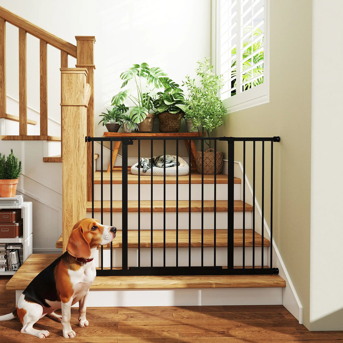 Pressure Fit Dog Gate, 29.9''-42.1'' Width, Black Houses, Kennels & Pens at Gallery Canada
