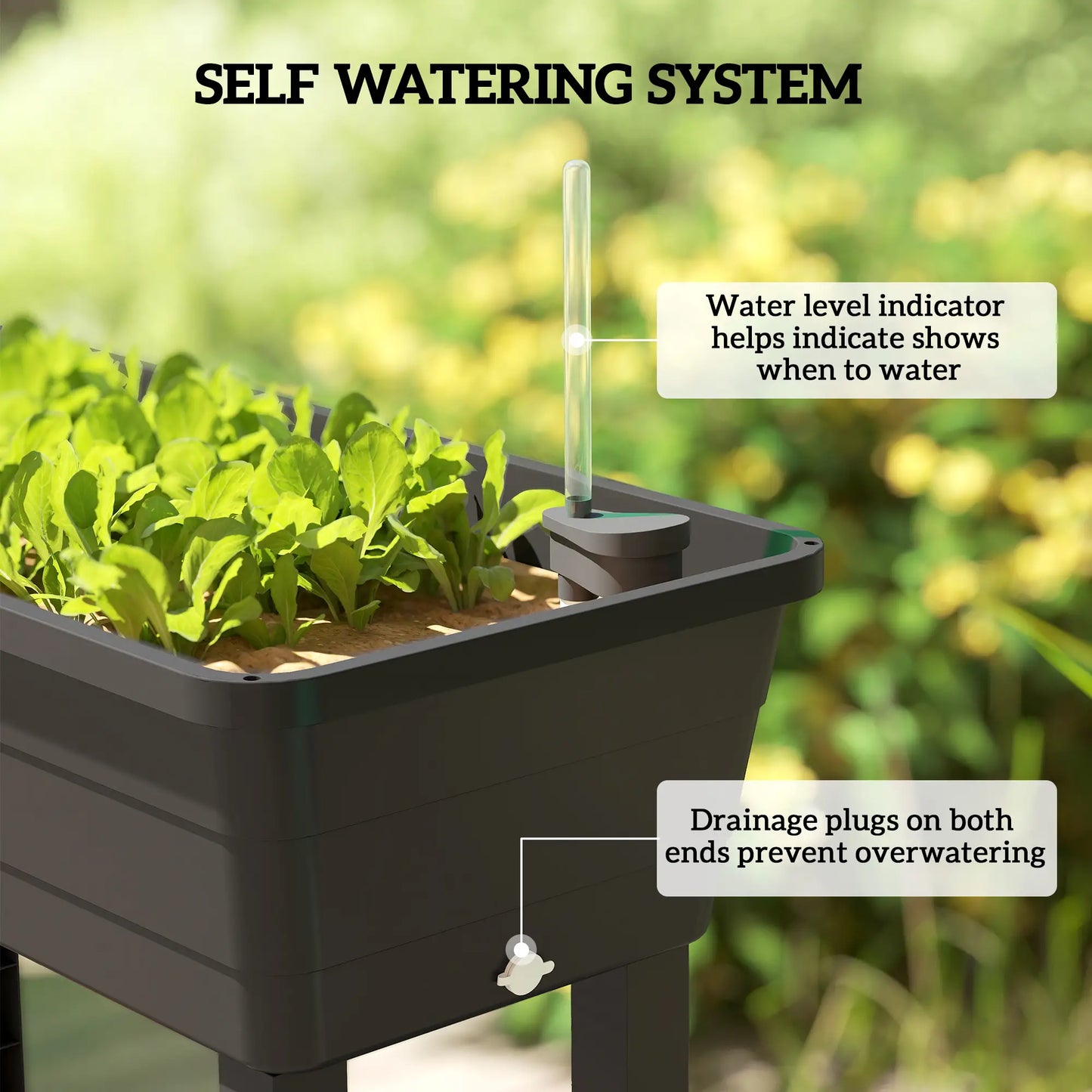 41L Self Watering Raised Garden Bed, Transparent Lid, Storage Shelf, Black
