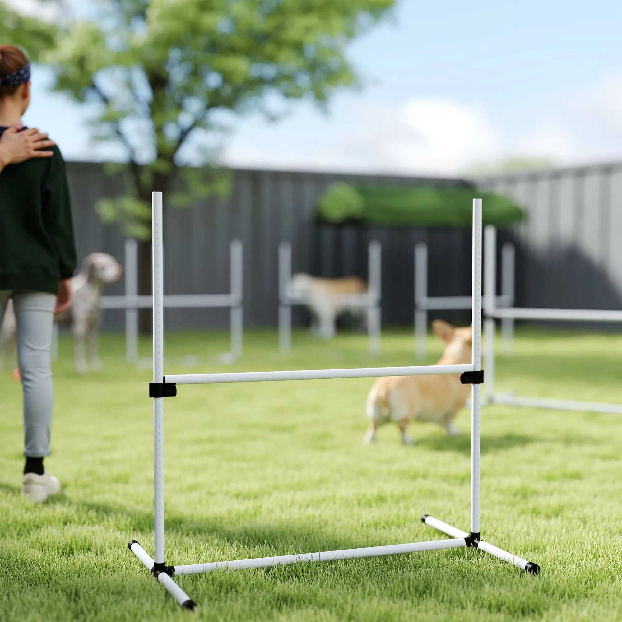 6 Pc Dog Agility Training Kit, Adjustable Jump Bar, White Dog Agility Training Equipment at Gallery Canada