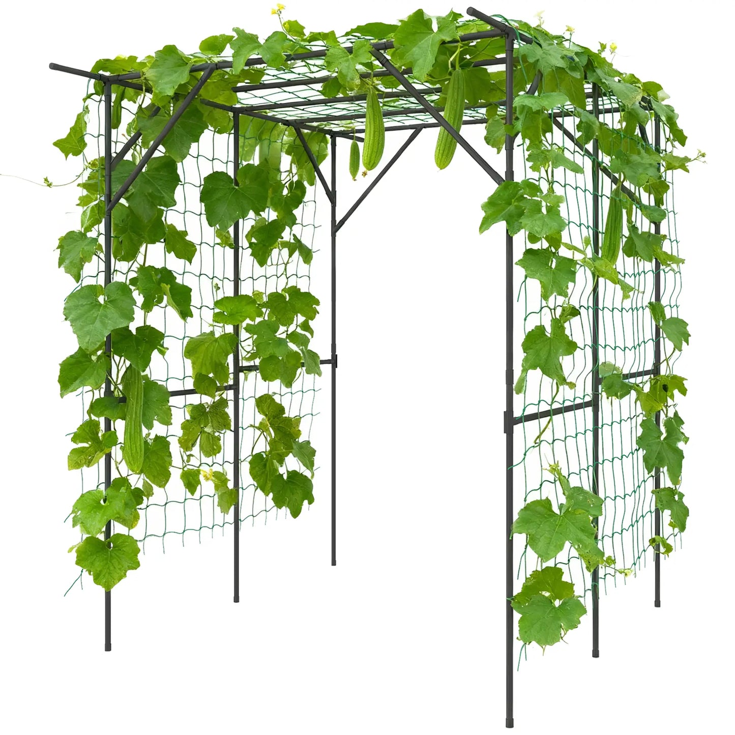 6.4FT Tall Metal Garden Arch Trellis, Plant Support With Climbing Net Plant Stands Black at Gallery Canada