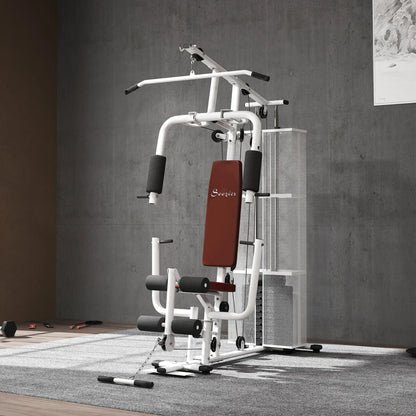 Multifunction Home Gym, 100Lbs Weight Stack, Lat Pulldown, Leg Extensions, White Power Towers at Gallery Canada