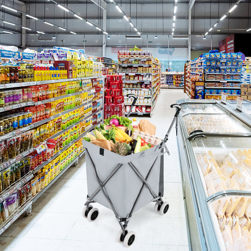 Folding Shopping Utility Cart with Water-Resistant Removable Canvas Bag-Grey, Gray