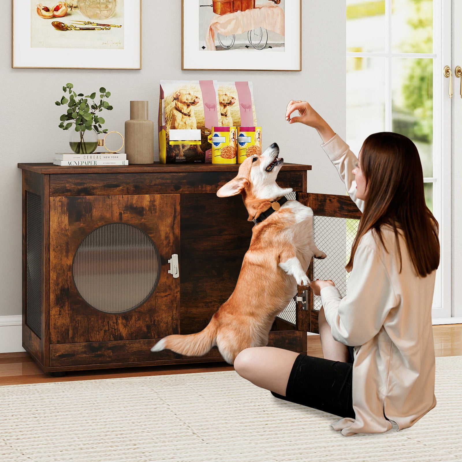 Furniture Style Dog Crate for Small and Medium Dogs with Translucent Window and Lockable Door, Rustic Brown Cat Houses at Gallery Canada