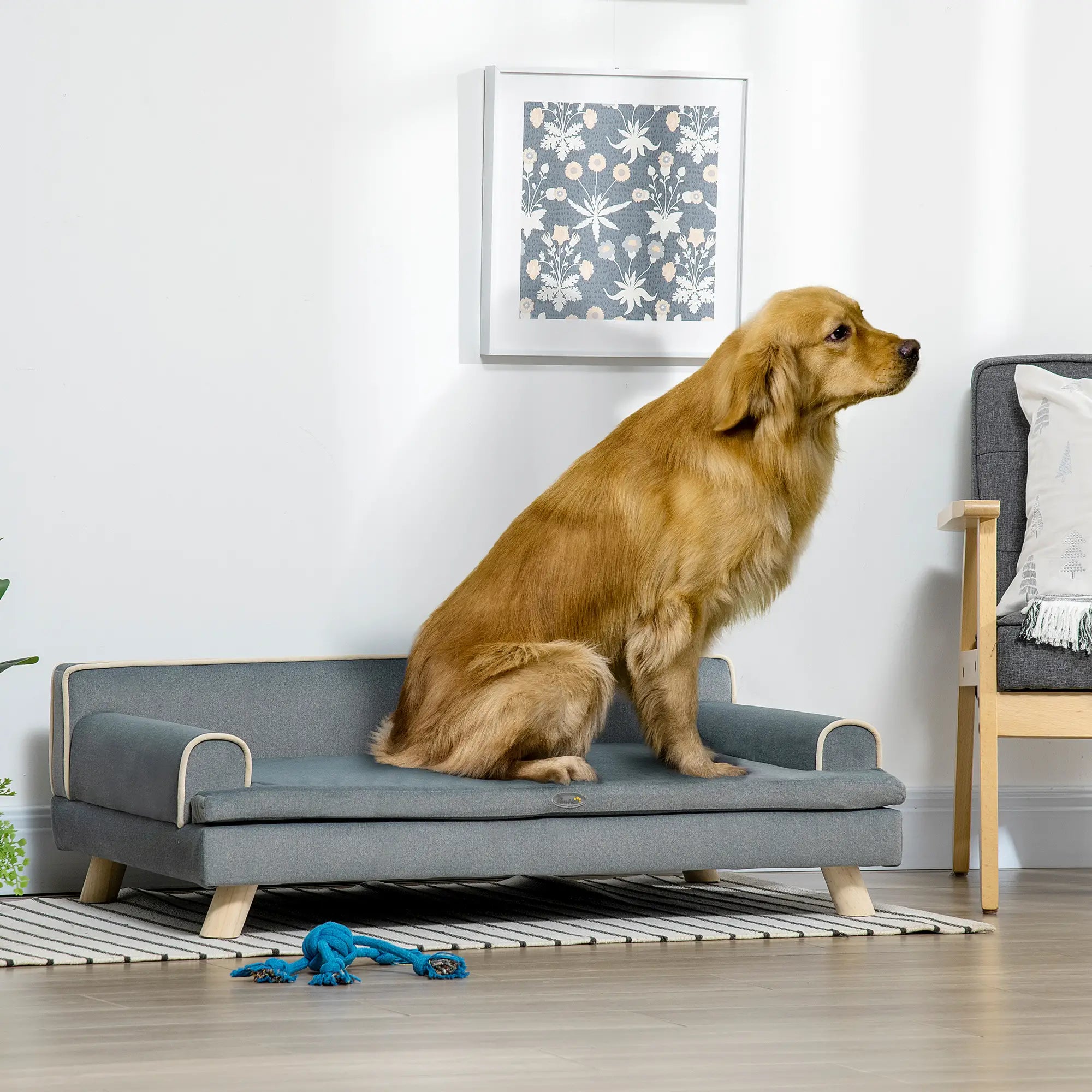 Elevated Dog Sofa Bed, Medium & Large, Dark Grey Dog Sofas at Gallery Canada