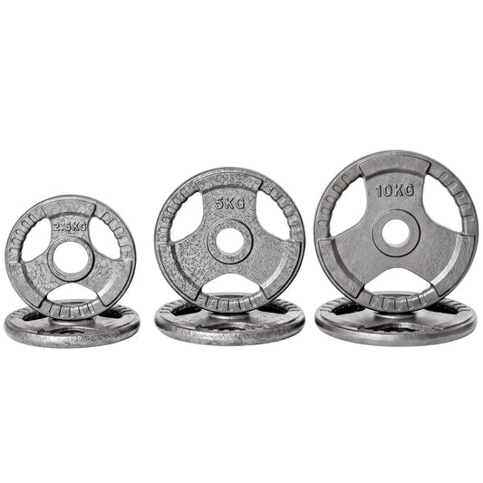 6 PCS Weight Plates, Grip Plate Set, Strength Training, 77 Lbs Dumbbells & Barbells Silver at Gallery Canada