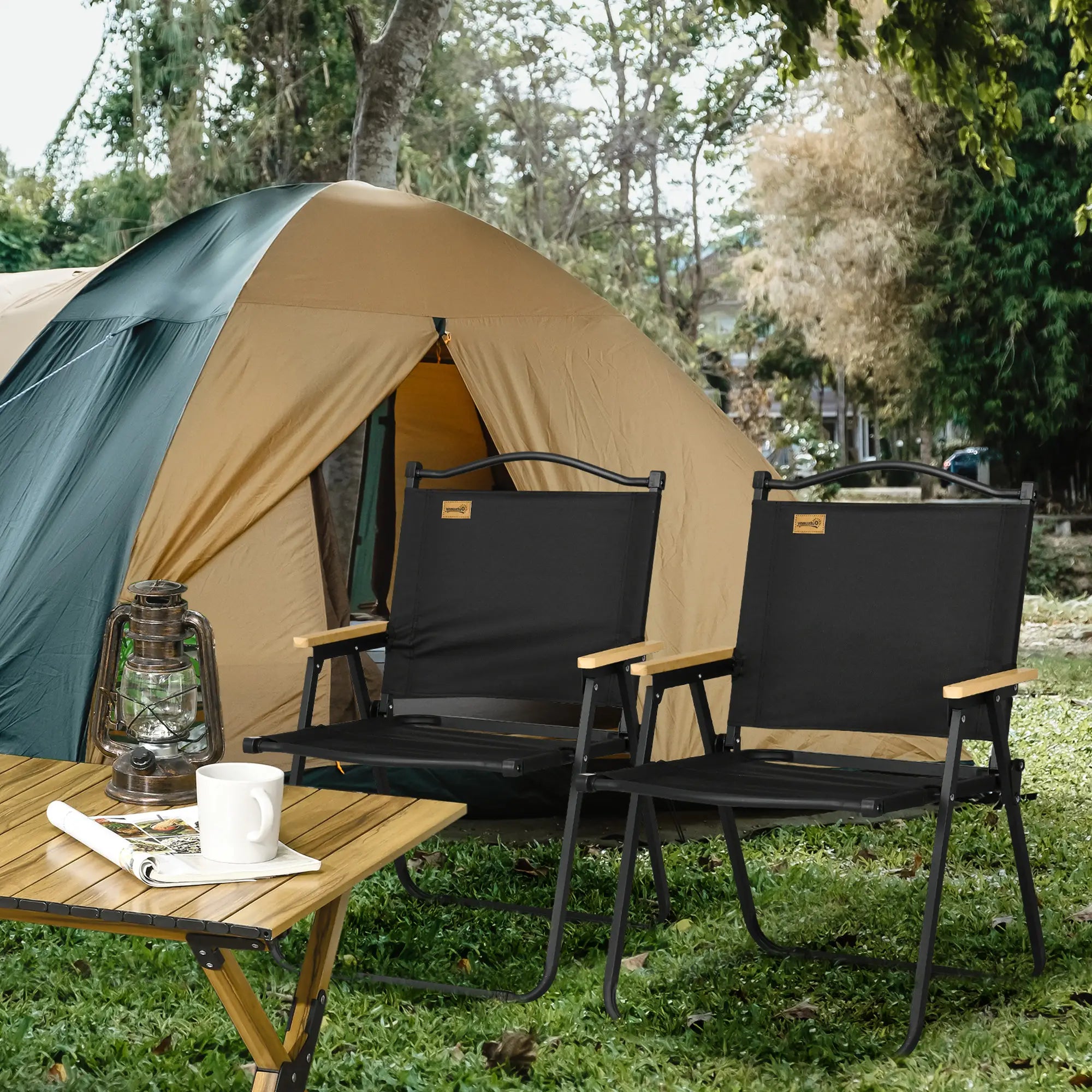 Set Of 2 Lightweight Folding Camping Chairs, Portable Armchairs, Black Picnic Tables & Camping Chairs at Gallery Canada