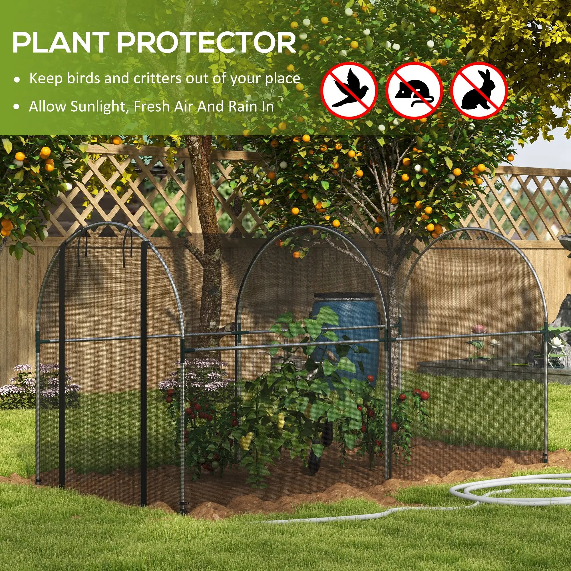 9.8' x 3.9' Crop Cage, Mesh Plant Protection Tent, Galvanised Steel Frame Greenhouses at Gallery Canada