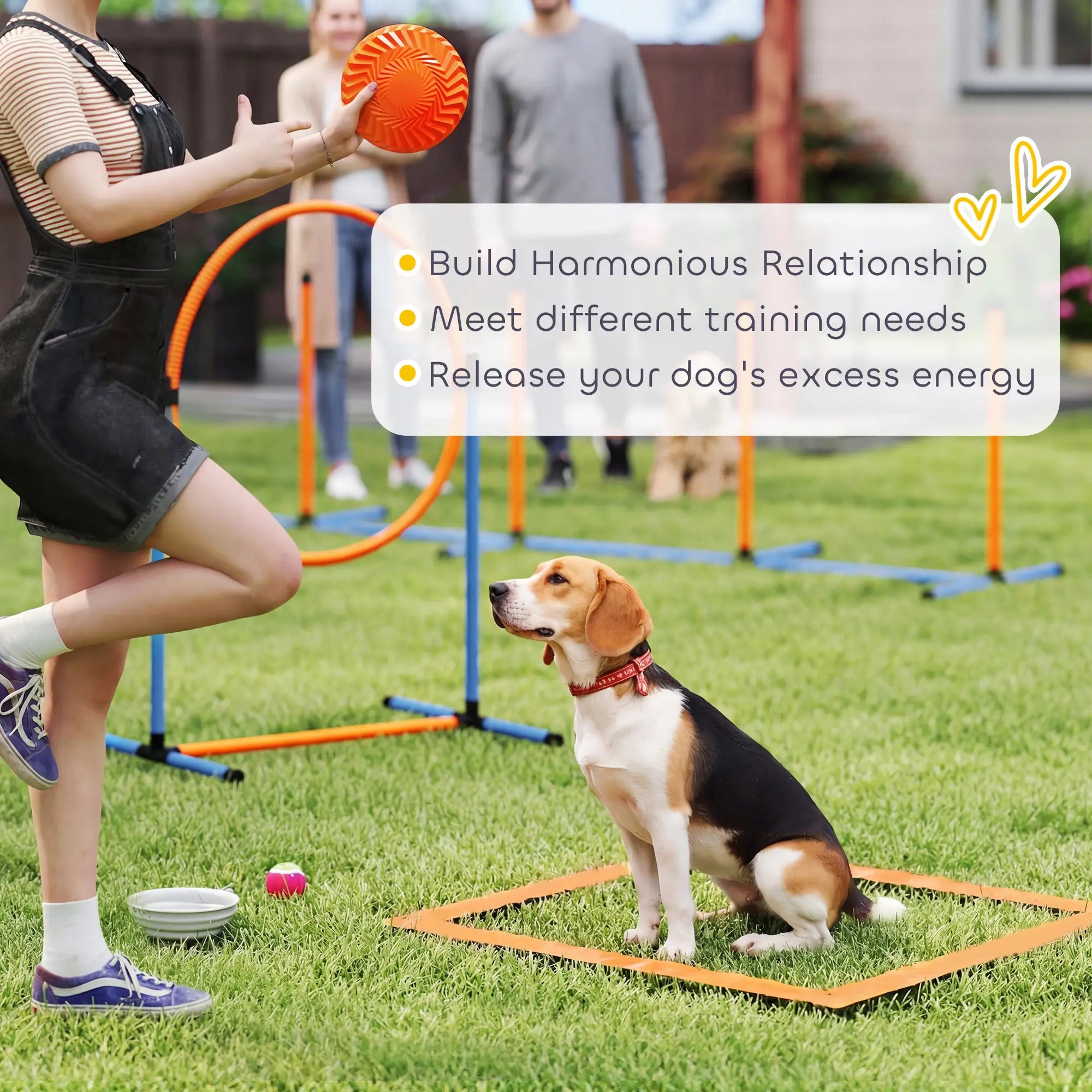 11-Piece Dog Agility Training Set, 2 Tunnels, Adjustable Jumps, Orange Blue Dog Agility Training Equipment at Gallery Canada