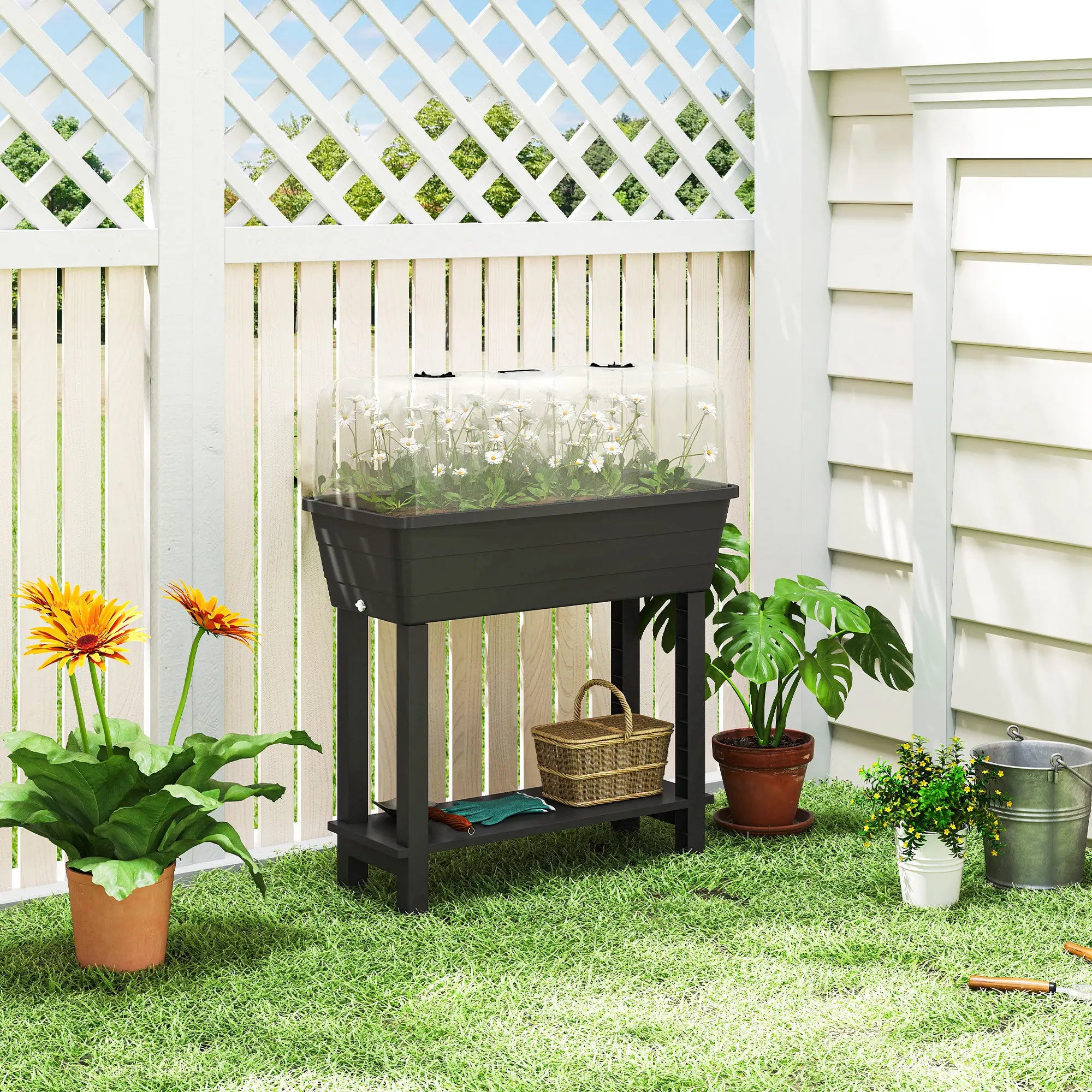 41L Self Watering Raised Garden Bed, Transparent Lid, Storage Shelf, Black Elevated Garden Beds at Gallery Canada