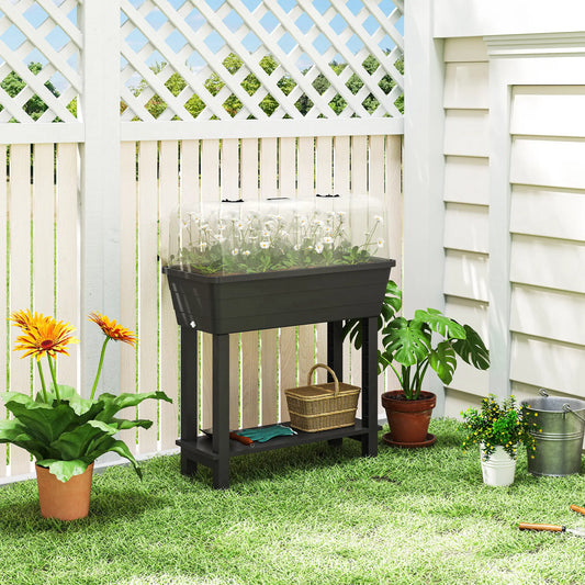 41L Self Watering Raised Garden Bed, Transparent Lid, Storage Shelf, Black Elevated Garden Beds Black at Gallery Canada