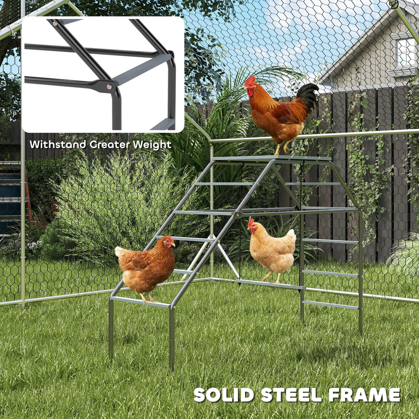 Chicken Coop Perches With Swing, Backyard Farm Accessories Chicken Coops at Gallery Canada