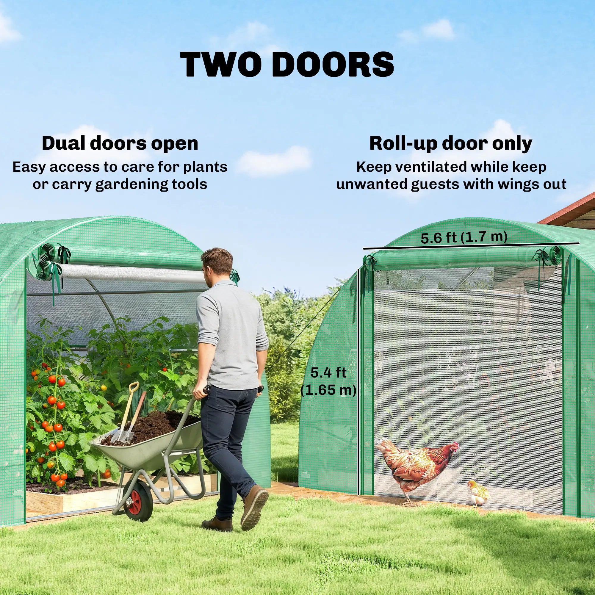 Walk-in Tunnel Greenhouse, 20'x10'x7', PE Cover, Mesh Door, Green Tunnel Greenhouses at Gallery Canada