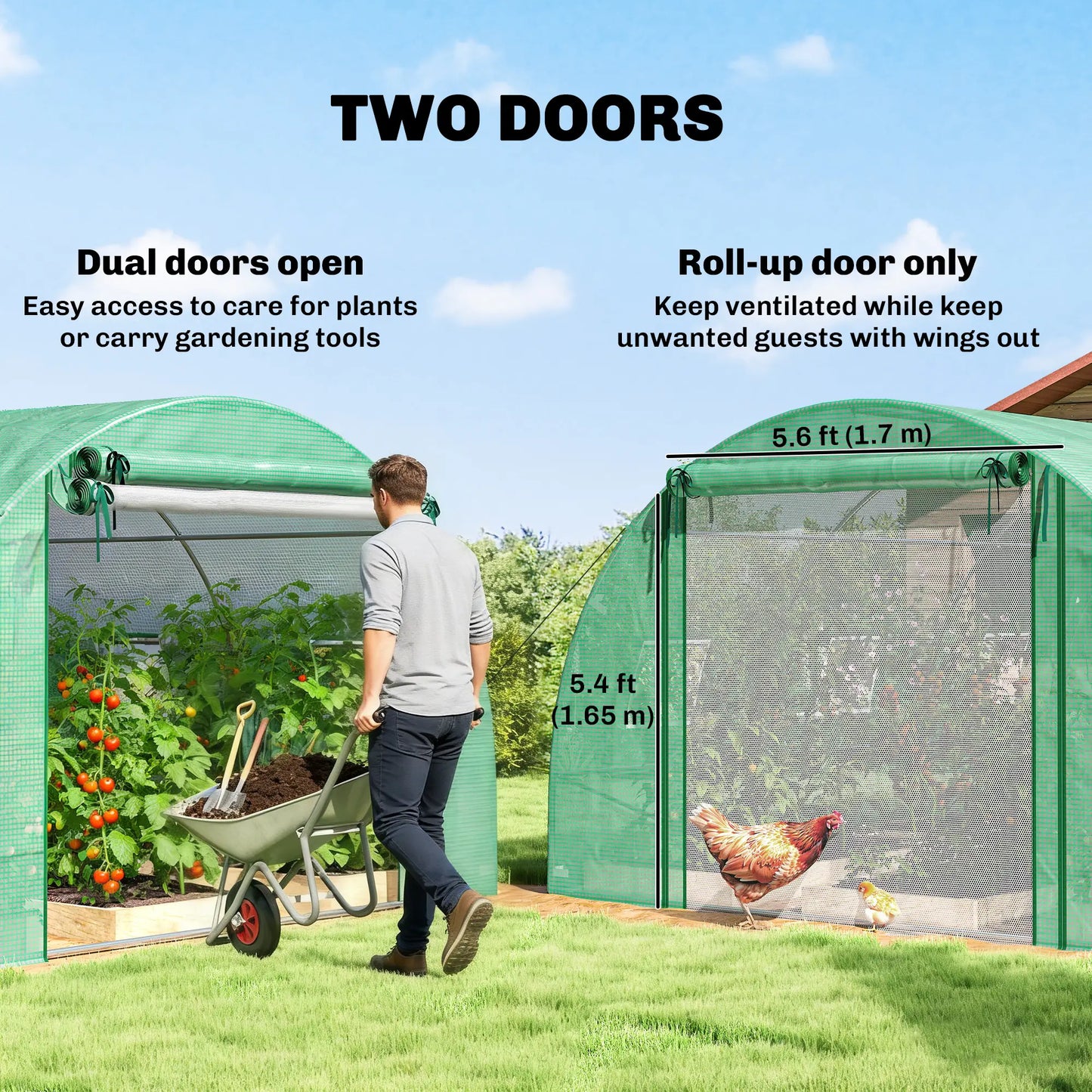Walk-in Tunnel Greenhouse, 20'x10'x7', PE Cover, Mesh Door, Green Tunnel Greenhouses at Gallery Canada