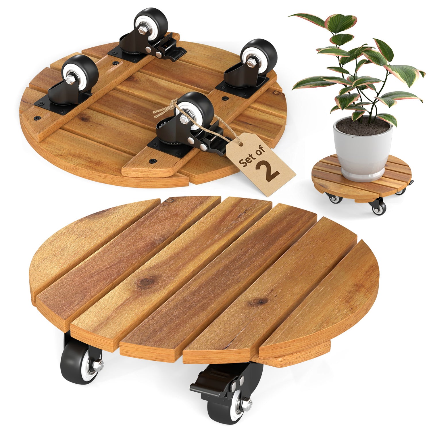 Heavy Duty Acacia Wood Rolling Plant Stand with 360° Lockable Casters-Set of 2 Plant Stands at Gallery Canada