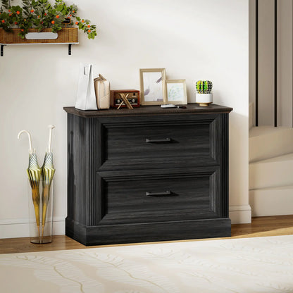 Lateral Filing Cabinet, 2 Silent Drawers, Letter A4 Legal Size, Black Office Cabinets & Cupboards at Gallery Canada