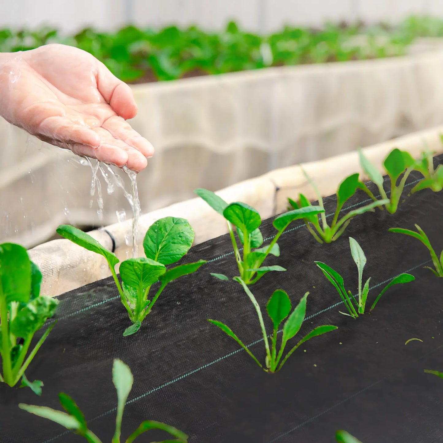 3ft x 300ft Weed Barrier, Landscape Fabric, Greenhouse Garden, 3.5oz Weed Barrier Fabrics at Gallery Canada