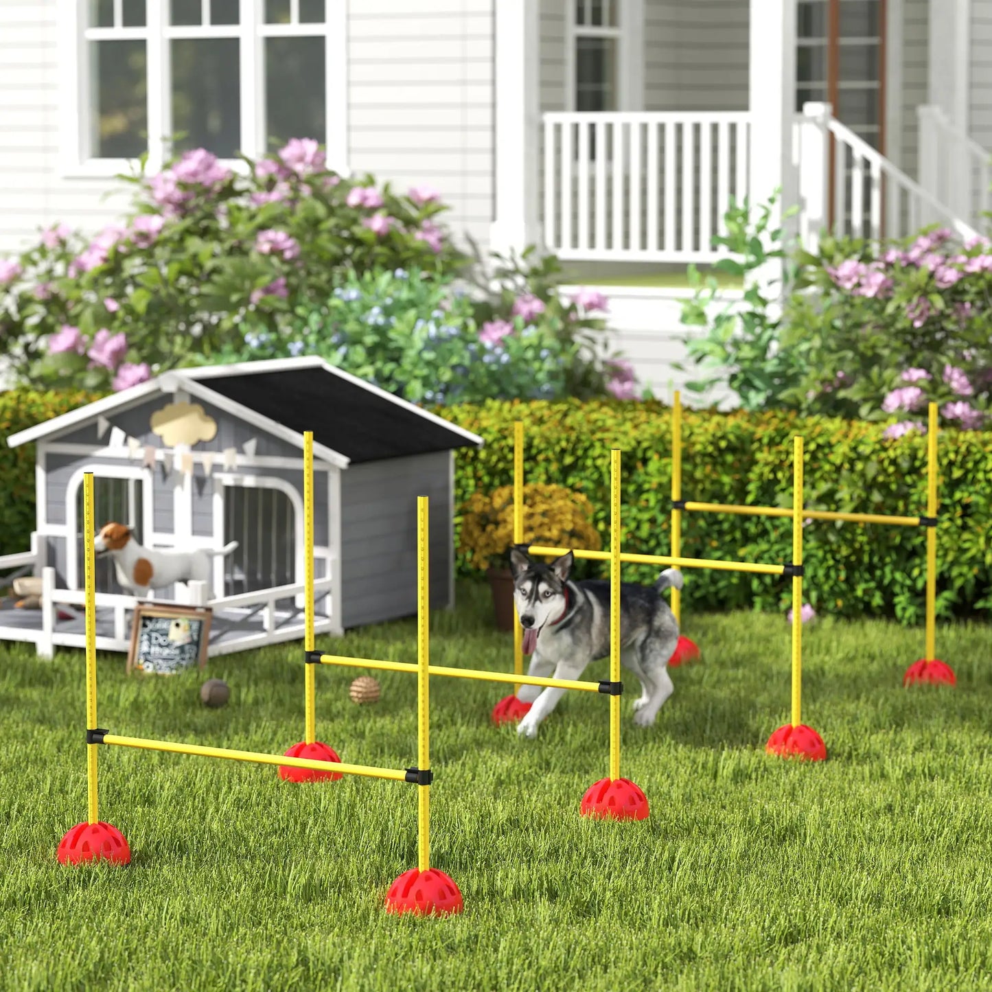 Dog Agility Training Equipment, 4 Pcs Obstacle Course, Yellow Dog Agility Training Equipment at Gallery Canada