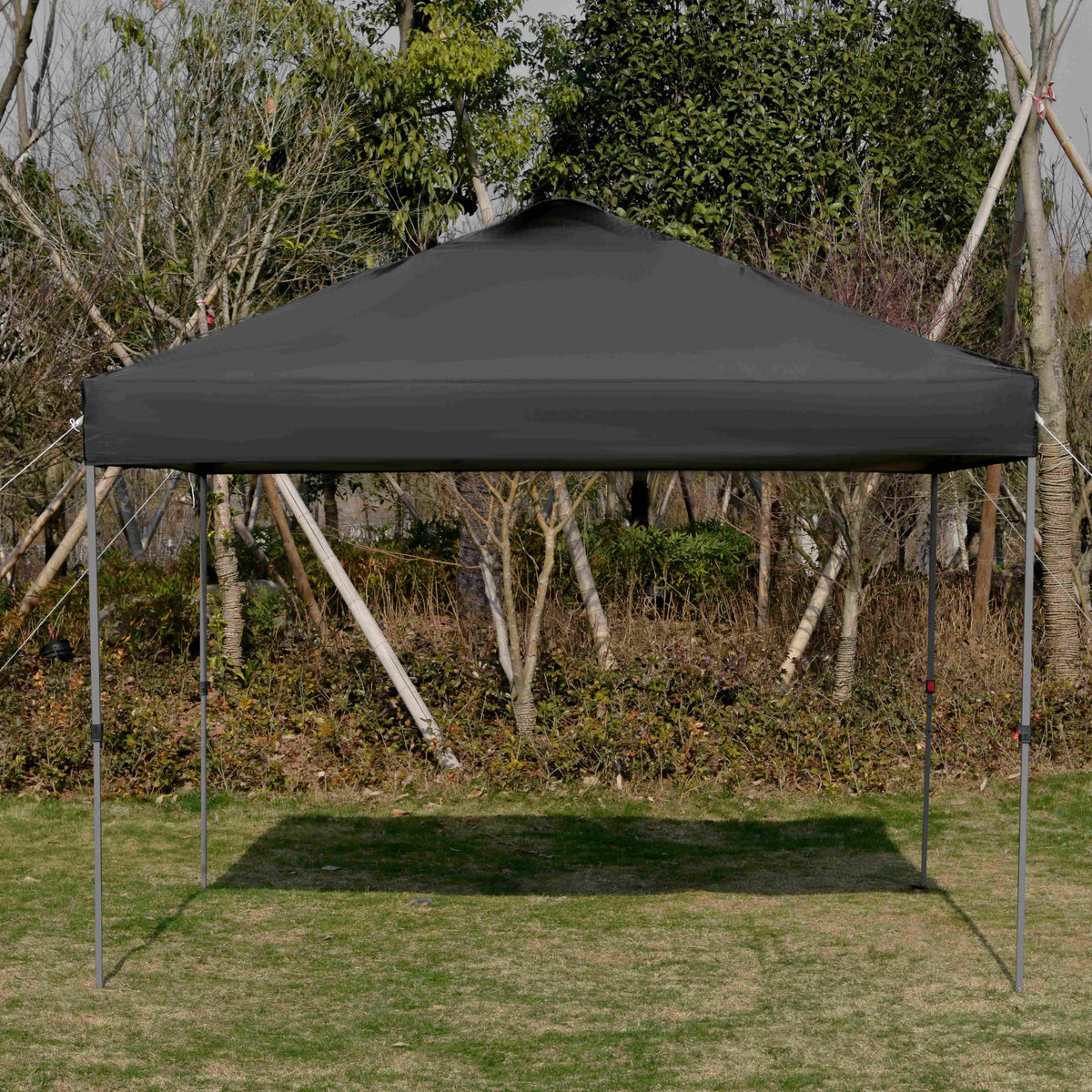 10' x 10' Pop Up Canopy Tent, Airy Top Vents, Wheeled Carry Bag, Black Pop Up Canopies at Gallery Canada