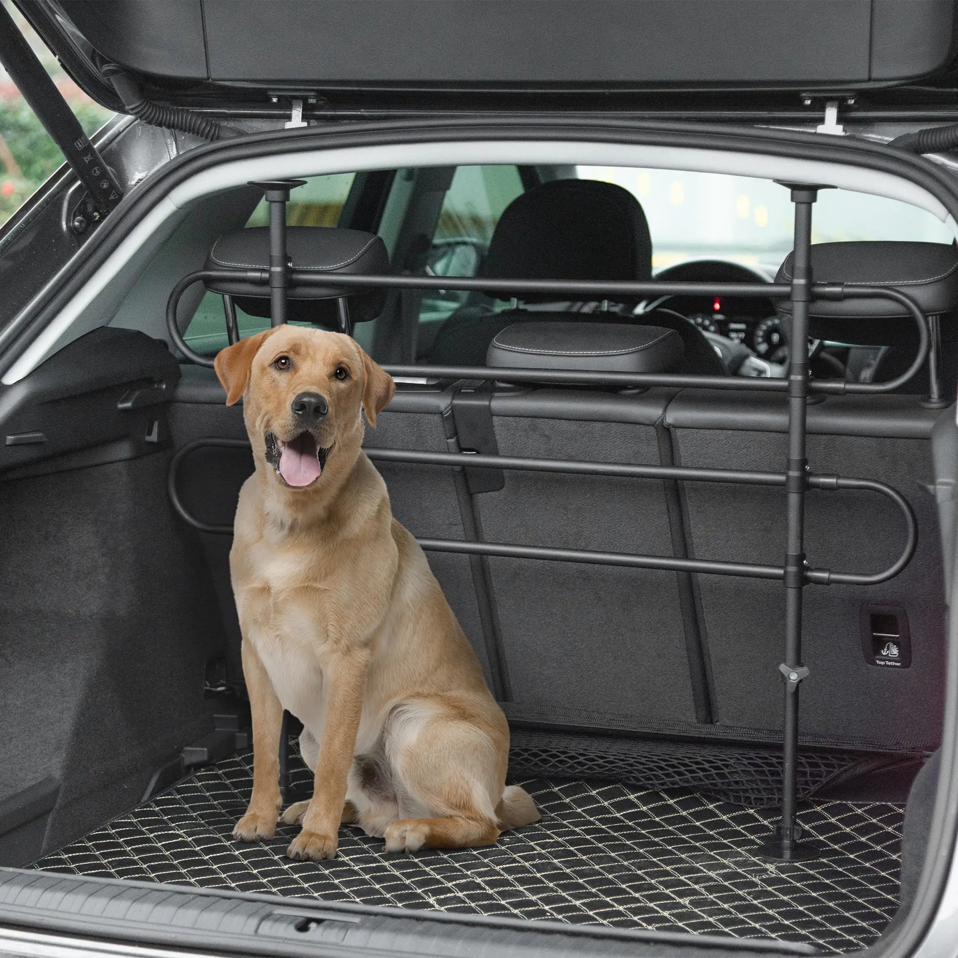 Adjustable Pet Car Barrier, SUV Van Back Seat Dog Fence, Black Houses, Kennels & Pens at Gallery Canada
