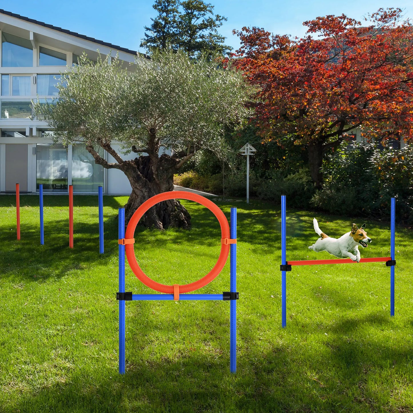 Dog Agility Training Kit, Adjustable Jump Weave Pole Ring Set Dog Agility Training Equipment at Gallery Canada