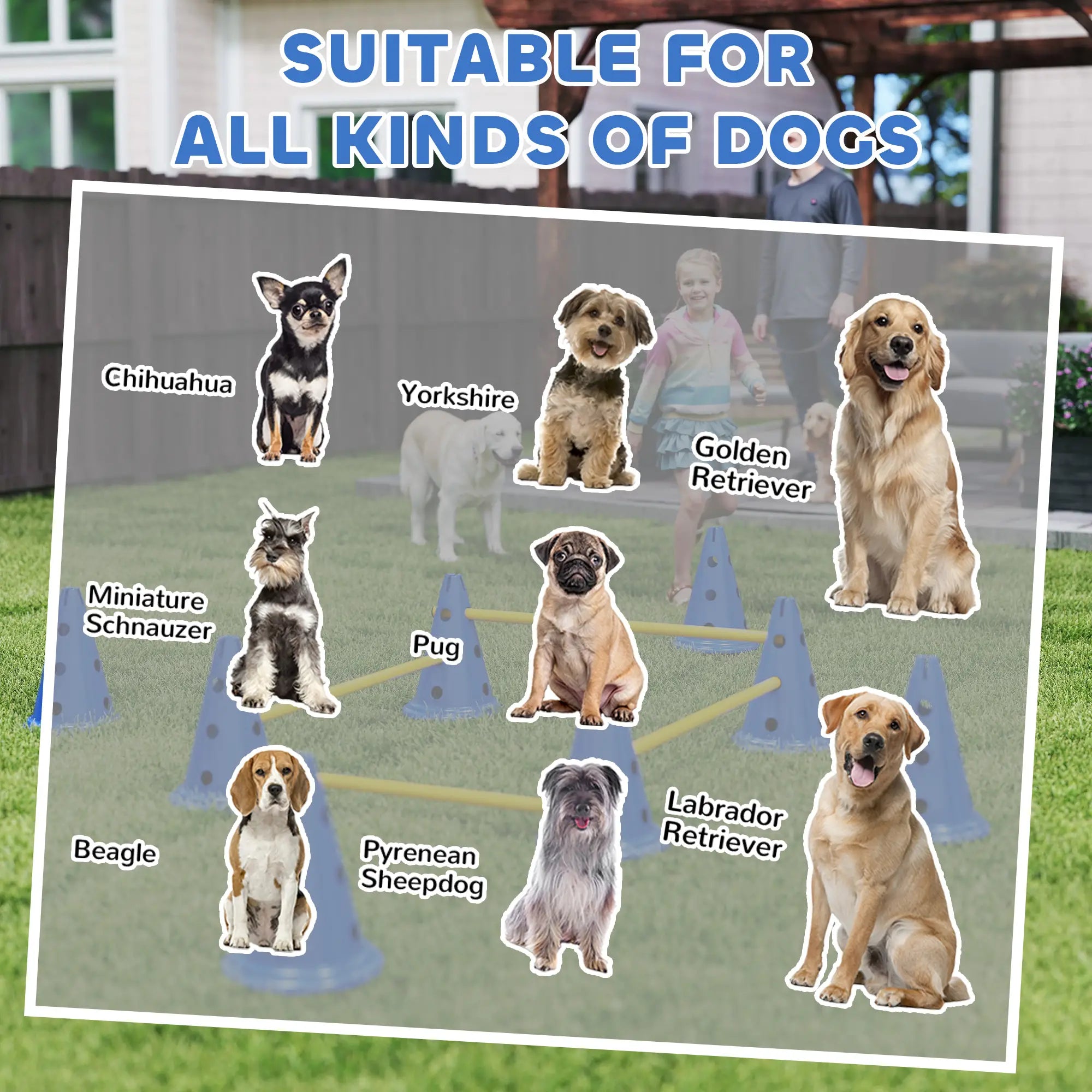 Dog Agility Hurdle Cone Set, Adjustable Obstacle Course, 8 Cones & 8 Poles, Blue Dog Agility Training Equipment at Gallery Canada