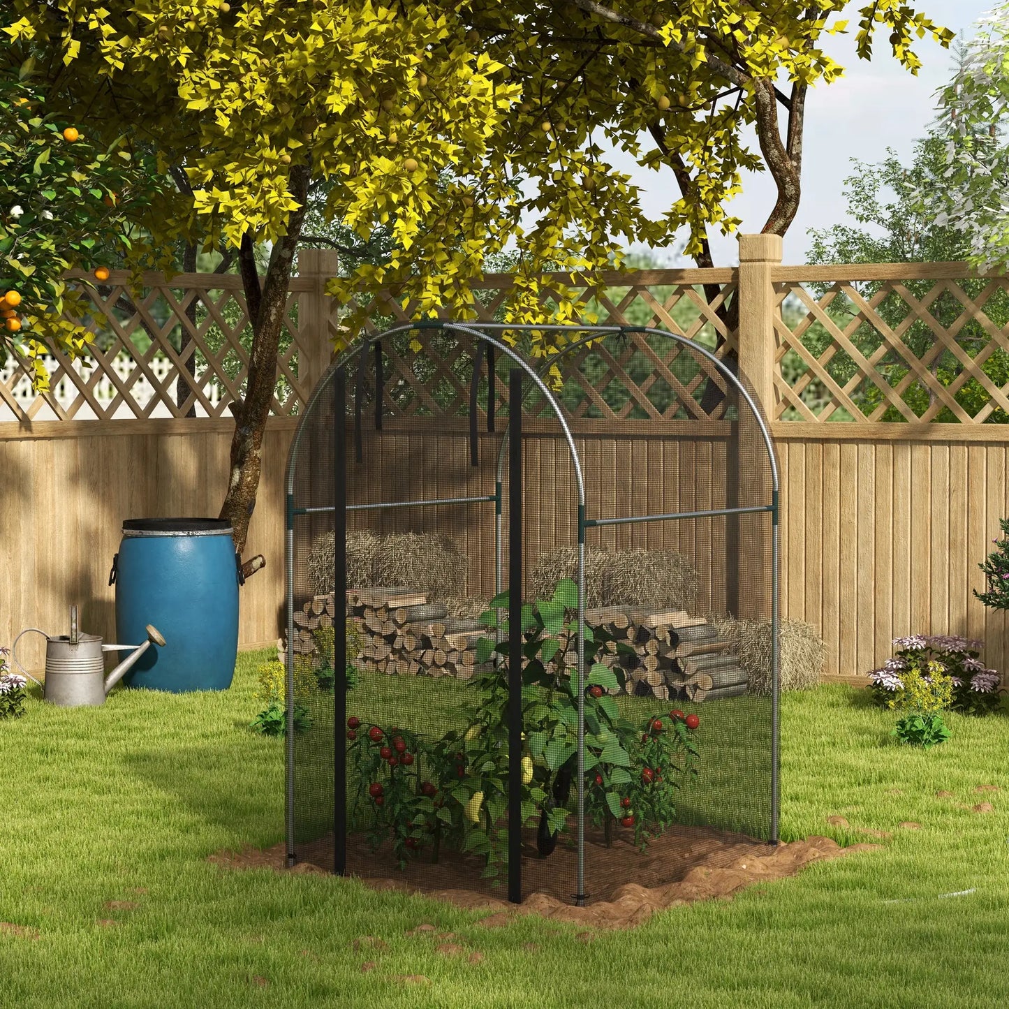 Galvanized Steel Crop Cage, Plant Protection Tent, 4' x 4', Black Walk In Greenhouses at Gallery Canada