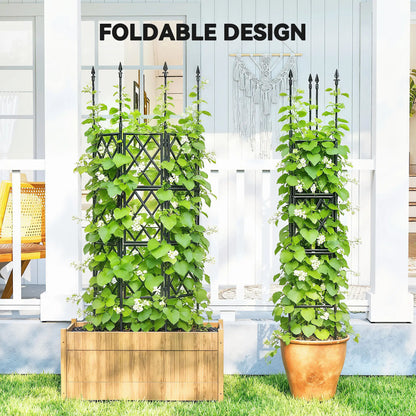 Foldable Garden Trellis, 33.5 x 77.6 Inch, Lattice Climbing Support, Black Plant Stands at Gallery Canada