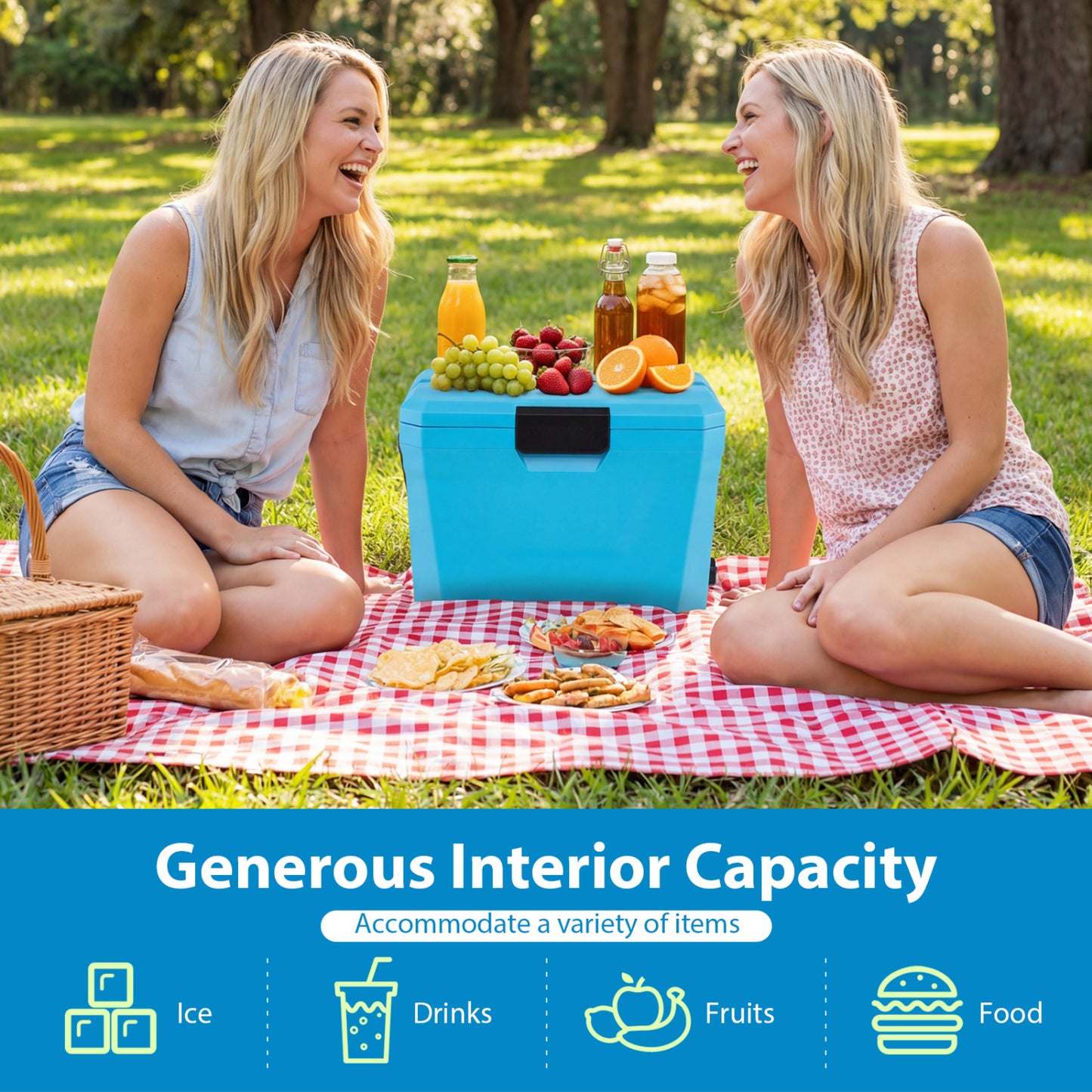 Insulated Portable Cooler, Hard Shell Ice Chest, Blue Coolers at Gallery Canada