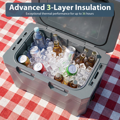 Insulated Portable Cooler, Hard Shell Ice Chest, Gray Coolers at Gallery Canada